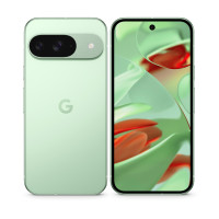 Смартфон Google Pixel 9 12/128Gb Wintergreen Global