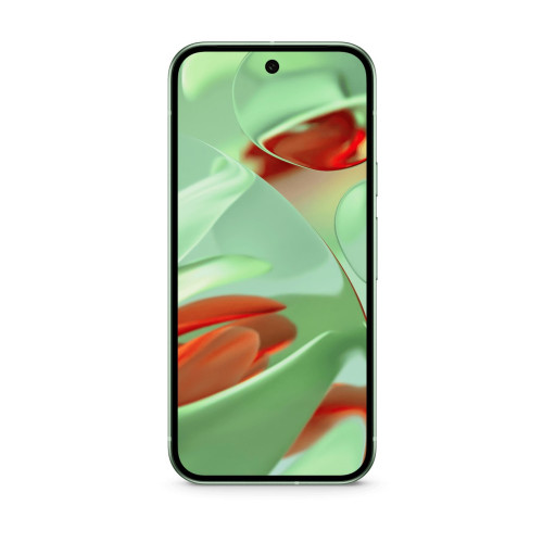 Смартфон Google Pixel 9 12/256Gb Wintergreen US