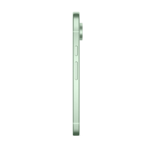 Смартфон Google Pixel 9 12/256Gb Wintergreen US