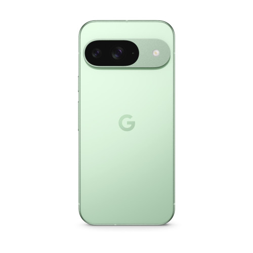 Смартфон Google Pixel 9 12/256Gb Wintergreen US