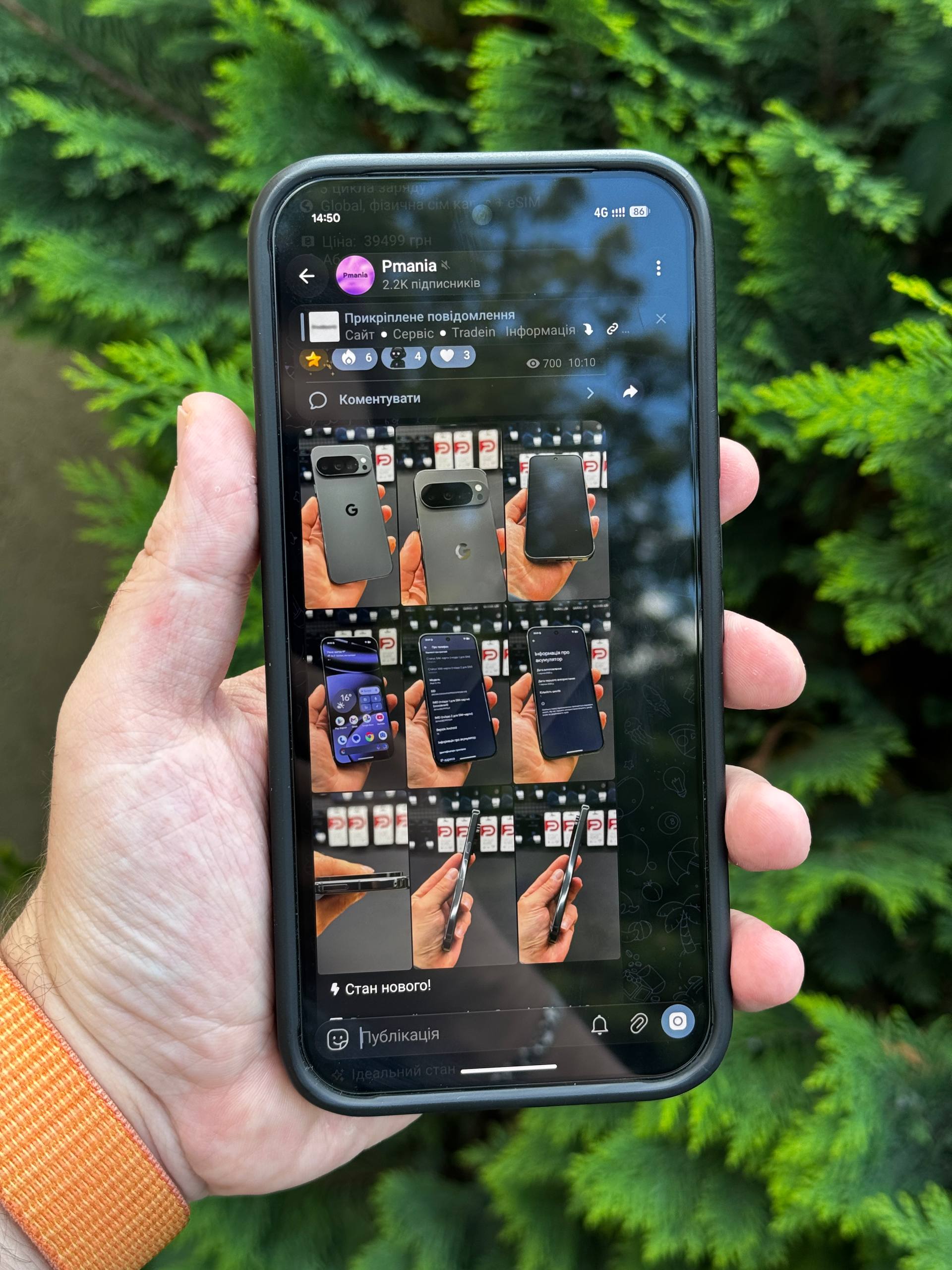 Pmania Telegram Channel Photo Pixel 6 in hand